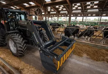 Tracteur avec chargeur frontal Farmanip dans un bâtiment d’élevage avec des vaches. 