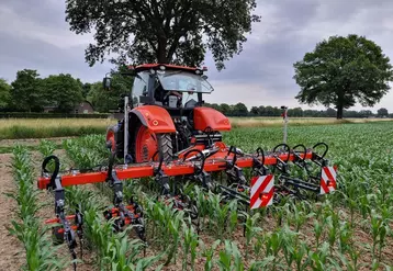 Bineuse et tracteur Kubota dans un champ de maïs