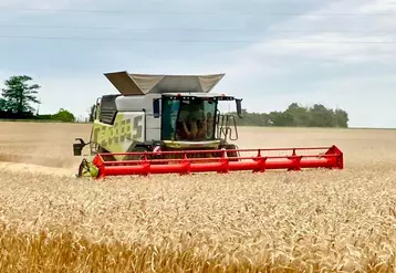 Les moissonneuses-batteuses Claas Trion 740, Trion 740 Terra Trac et Trion 740 Montana s'intercalent entre la Trion 730 de 408 ch et la Trion 750, à qui elles reprennent la motorisation de 435 ch.