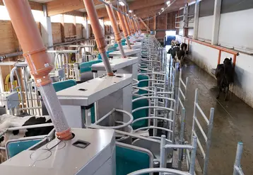 <em class="placeholder">Robots de traite DairyRobot R9650 de GEA en installation de traite par lots Batch Milking</em>