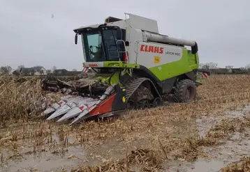 Moissoneuse batteuse Claas à la récolte de maïs dans des conditions très humides