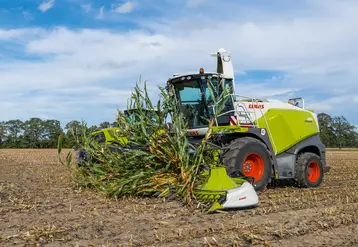 <em class="placeholder">Ensileuse Claas Jaguar 880 récoltant du maïs fourrage</em>