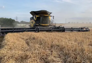 <em class="placeholder">Moissonneuse-batteuse CR11 de New Holland avec coupe à tapis MacDon</em>