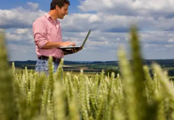 Un agriculteur sur son ordinateur portable dans un champo de blé.