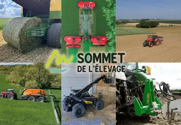 <em class="placeholder">Sommets d&#039;Or 2025</em>