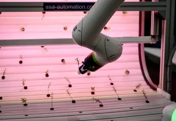 Bras de robot et plantes.