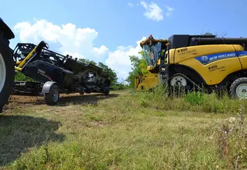<em class="placeholder">Moissonneuse batteuse New Holland en train d'ateler la barre de coupe.</em>