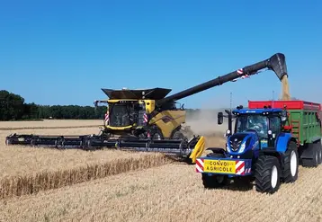 <em class="placeholder">Moissonneuse-batteuse New Holland CR11 à la vidange, avec benne Gyrax et tracteur New Holland</em>