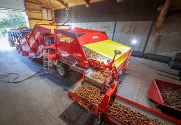 <em class="placeholder">Séparateur à rouleaux Grimme MultiSep derrière trémie de réception RH 24</em>