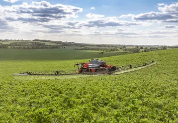 <em class="placeholder">Pulvérisateur automoteur Horsch Leeb au travail avec dispositif Boom Control Pro Plus de contrôle de la hauteur de rampe.</em>