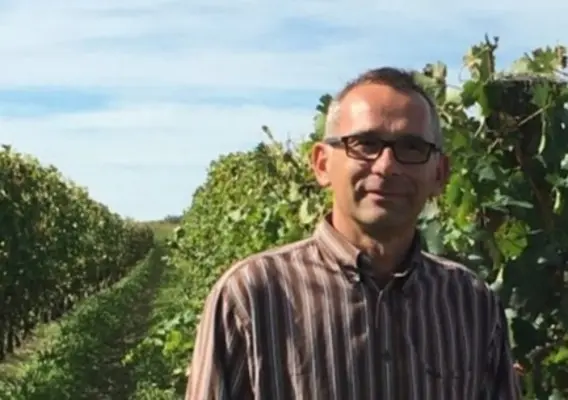 <em class="placeholder">Vin : Stéphane Gabard reprend la présidence des vins AOC bordeaux</em>