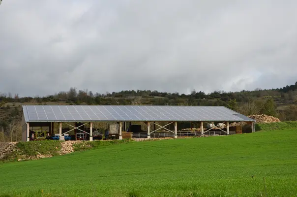Des panneaux solaires sur un bâtiment agricole à proximité d'un champ