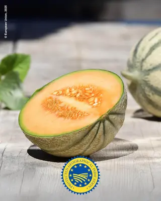Melon de Cavaillon