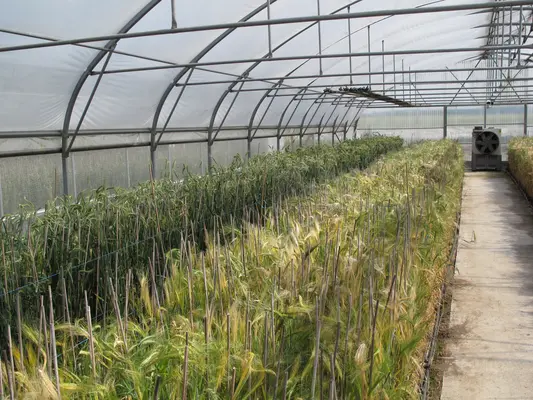 NGT : UN DOSSIER QUI PROGRESSE MALGRE LES DIFFICULTES