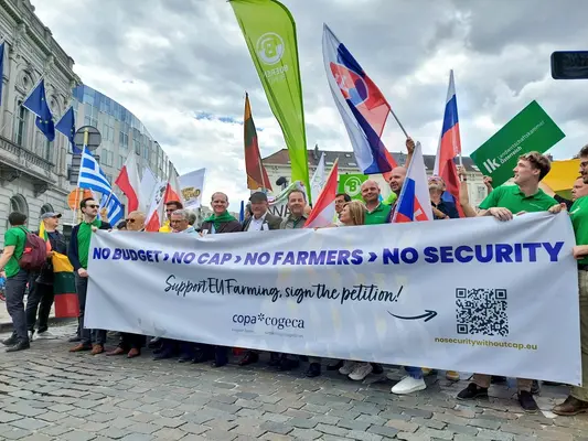 Manifestation d'agriculteurs à Bruxelles