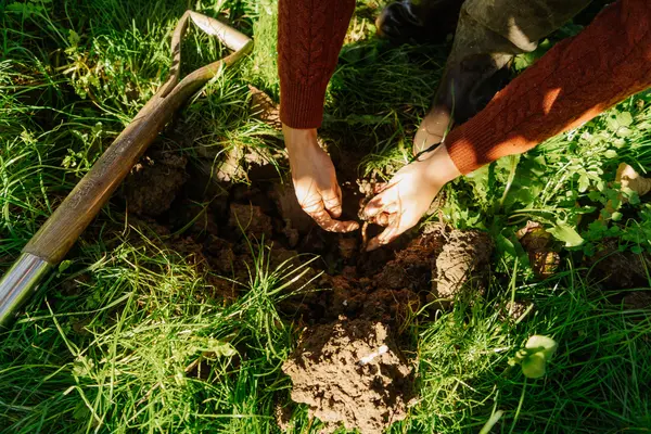 restauration des sols dégradés