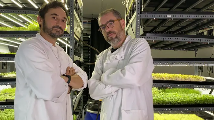 Nicolas Auriac Quentin Jeandel Neopouss