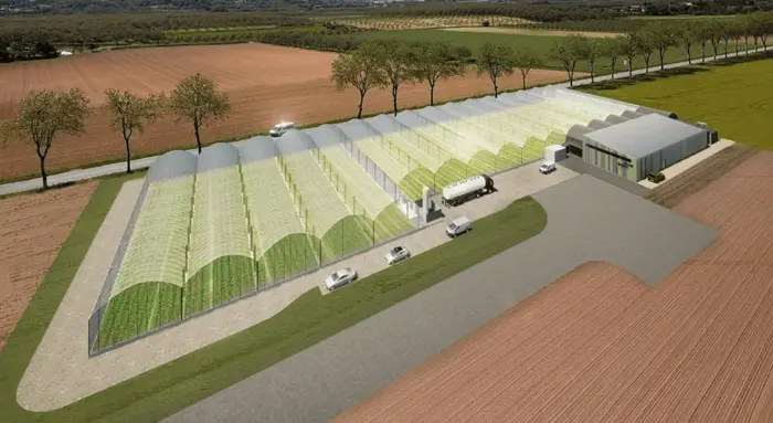 Vue d'ensemble de l'agrandissement de la ferme sur 6600m2 de production.