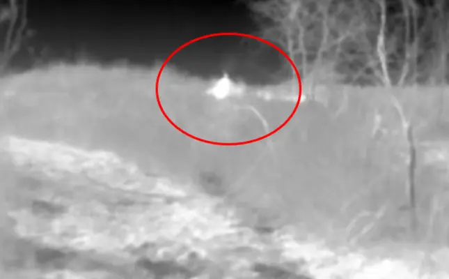 La camera infrarouge détecte les feux au stade le plus précoce.