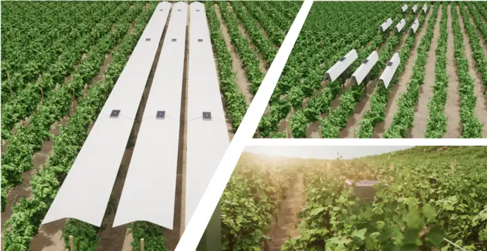 protection éphémère et rétractable sur les rangs de vigne