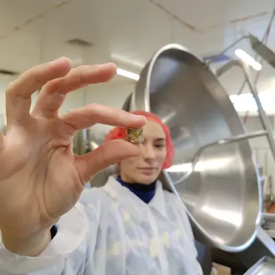 ingrédient pour lingot de légumineuses