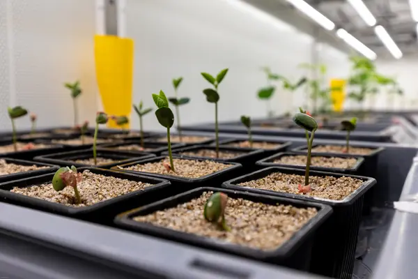 Test dans le laboratoire de Toulouse de Micropep pour développer de nouvelles solutions à base de peptides.