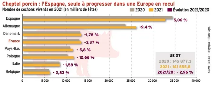 Cheptel porcin : l’Espagne, seule à progresser dans une Europe en recul