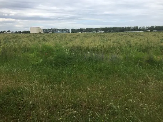 Les limites de la sobriété en grandes cultures