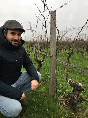 Dans le Bordelais, l’agroforesterie attend une réglementation plus claire