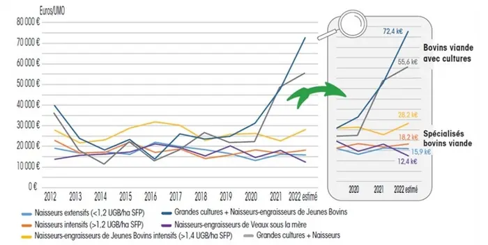 Bovins viande : l’accès aux cultures creuse les écarts de revenu entre éleveurs