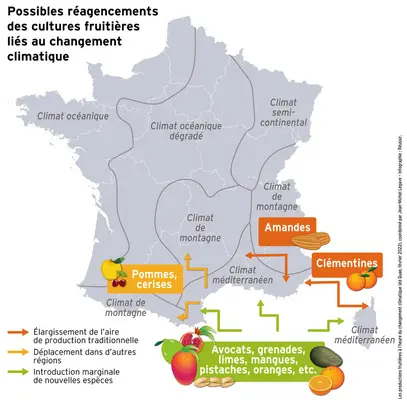 Face au climat, une future carte des fruits encore floue
