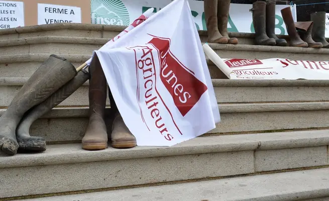 PPL DUPLOMB 1 et 2 : TRADUIRE LES MANIFS ET LEUR SURVIVRE