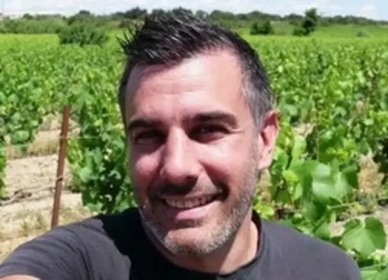 <em class="placeholder">Vin : Fabien Castelbou élu président des Vignerons coopérateurs d’Occitanie</em>