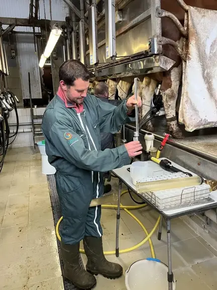 Contrôle laitier bovin