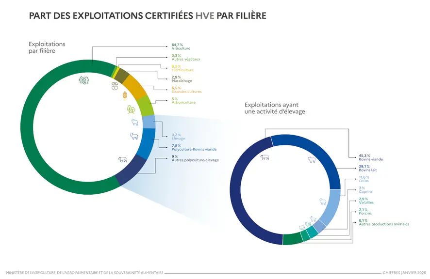 Part des exploitations certifiées HVE par filière