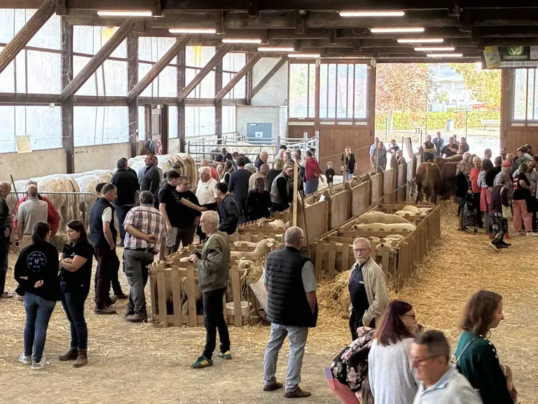 Foire agricole de Dompierre-sur-Besbre