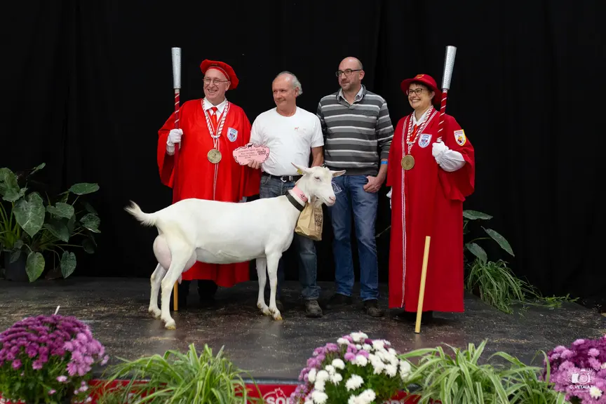 Remise des prix saanen
