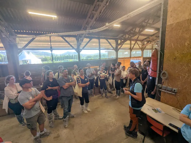 Visite lors de la JPO Ferme expé caprine Pradel 2026