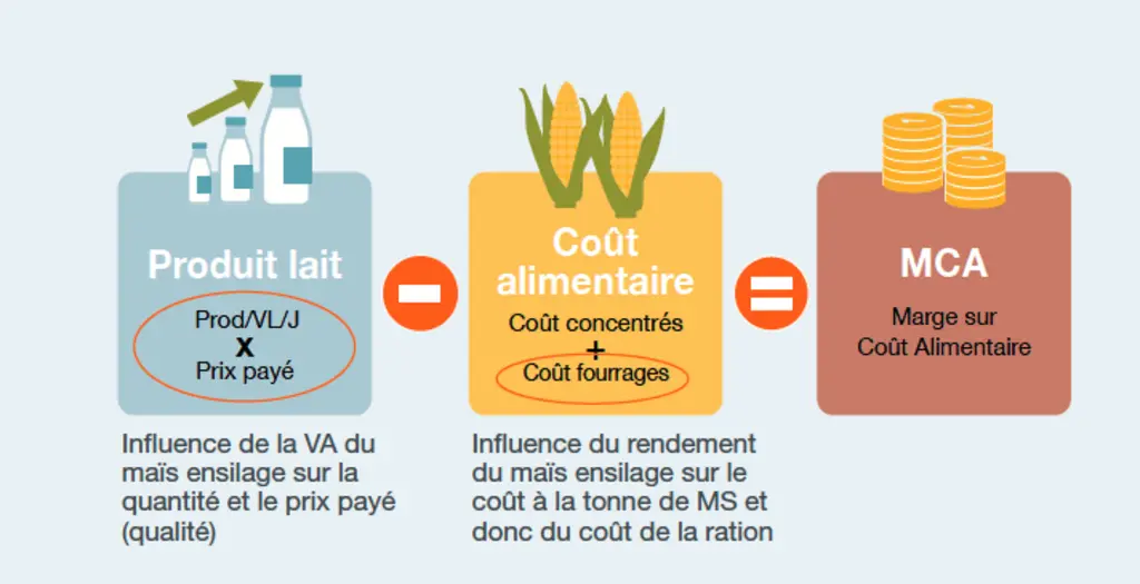 Graphique expliquant la marge sur coût alimentaire