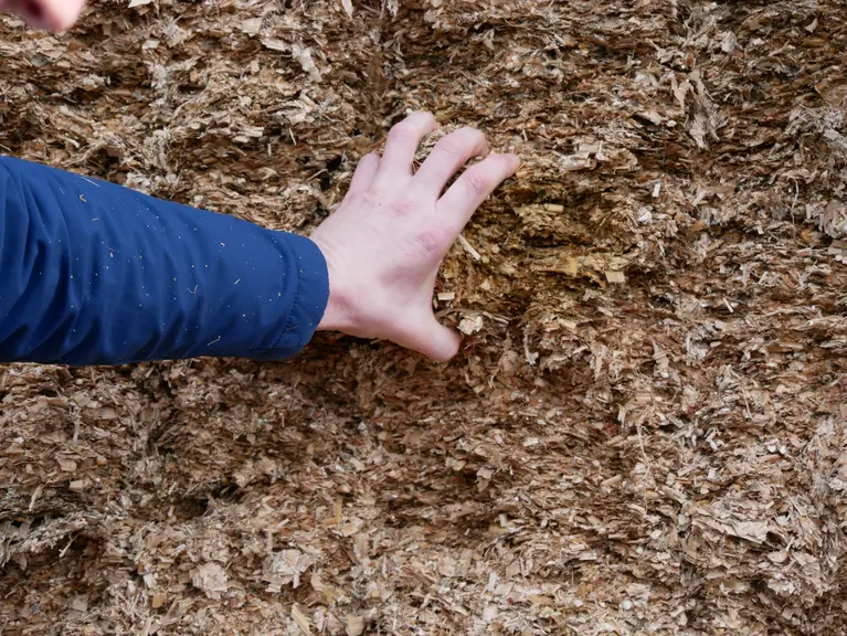 maïs ensilage