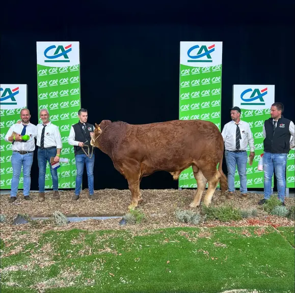 concours national limousin 2026