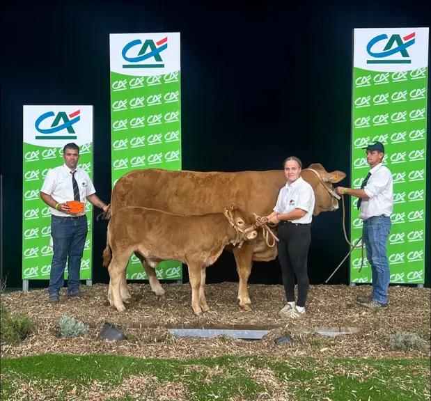 concours national limousin 2026