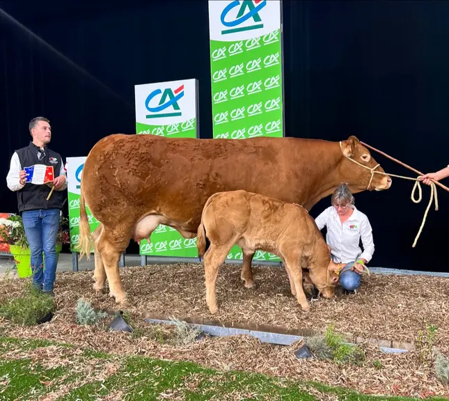 concours national limousin 2026