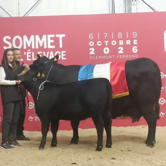 angus concours sommet de l'élevage 2026