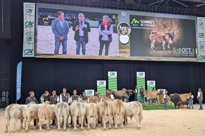concours aubrac sommet de l'élevage 2026