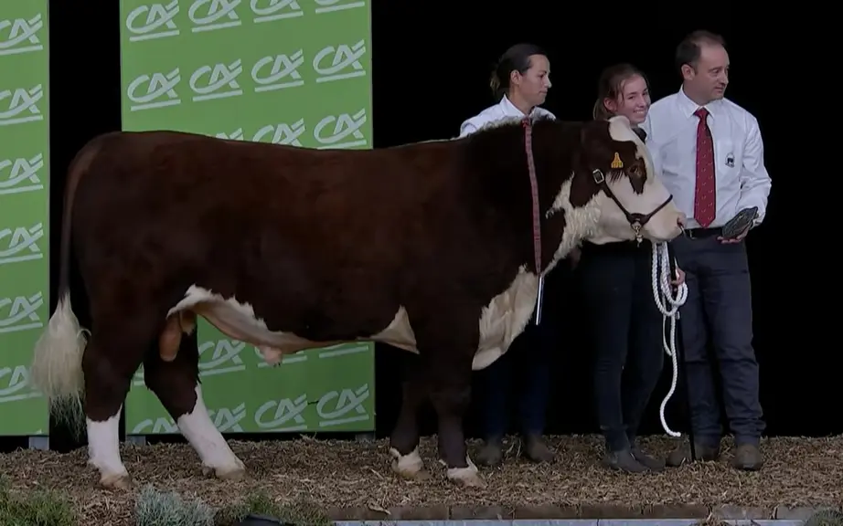 concours hereford sommet de l'élevage 2026