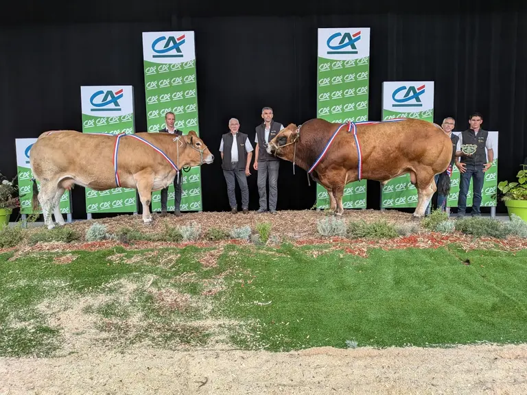 concours parthenaise sommet de l'élevage 2026