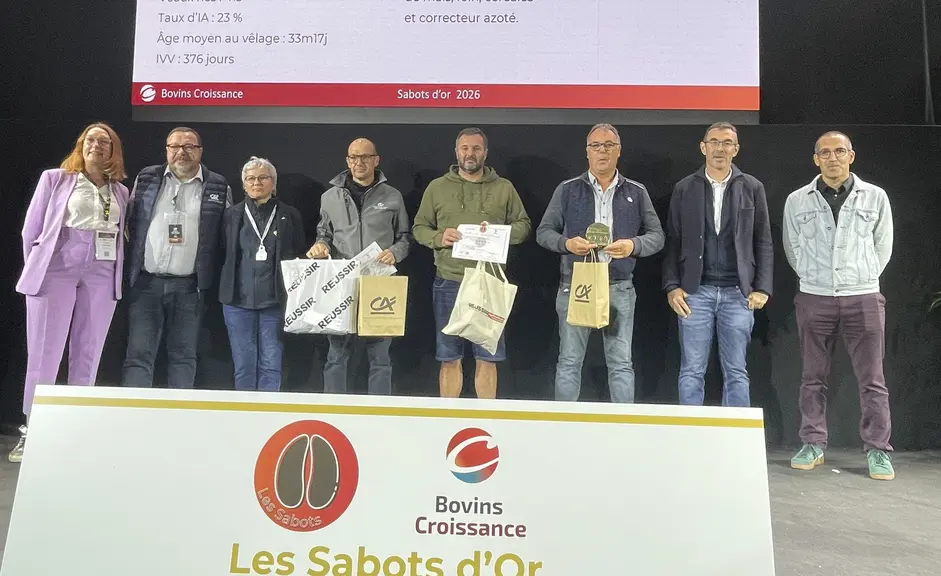 sabot d'or 2026