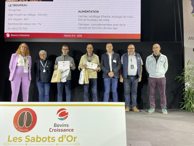 sabot d'or 2026