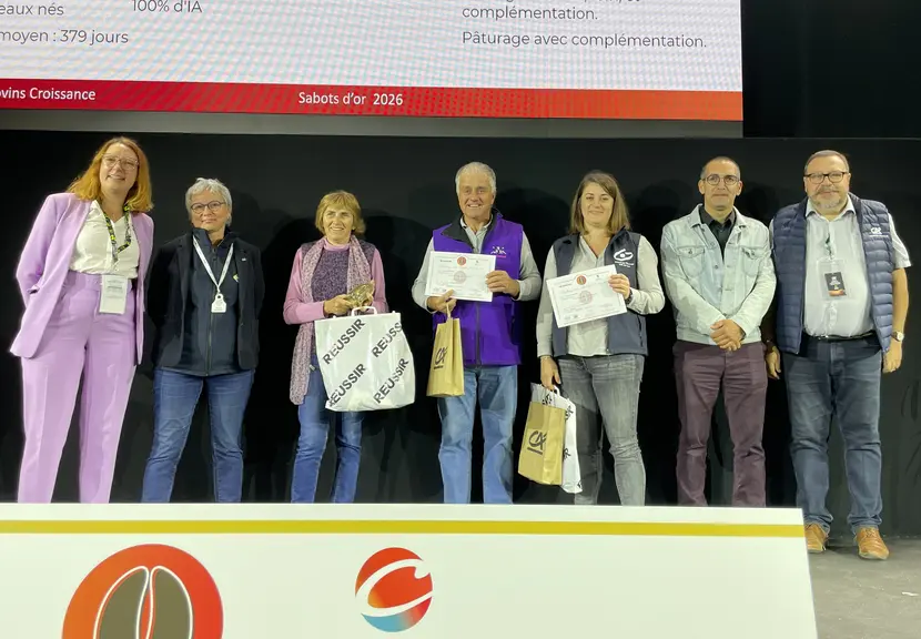 sabot d'or 2026